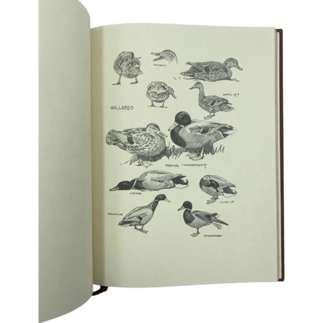 Vintage an Artist's Game Bag Lynn Bogue Hunt Derrydale Press Book LTD Ed 1990 For Sale - Image 4 of 12