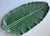 Vintage Bordallo Pinheiro Green Banana Leaf 15" Platter For Sale - Image 10 of 10