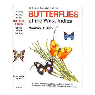 "A Field Guide to the Butterflies of the West Indies" 1975 Riley, Norman D. For Sale