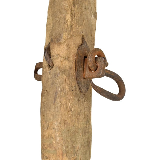 The Mandinka, also known as Mandingo, are one of the largest ethnic groups in The Gambia, with deep roots in West Africa....