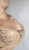 Beige 19th Century Terracotta Bust of Madame du Barry For Sale - Image 8 of 9