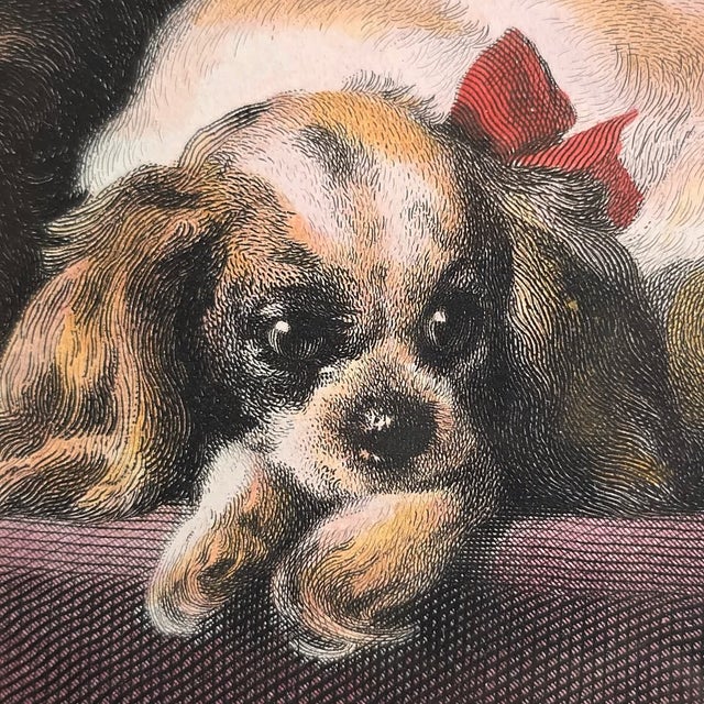 Sir Edwin Henry Landseer, Cavalier King Charles Spaniel, 1800s, Etching For Sale - Image 4 of 16