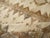 Galerie Shabab Collection Mid-20th Century Turkish Anatolian Room Size Carpet For Sale - Image 9 of 10