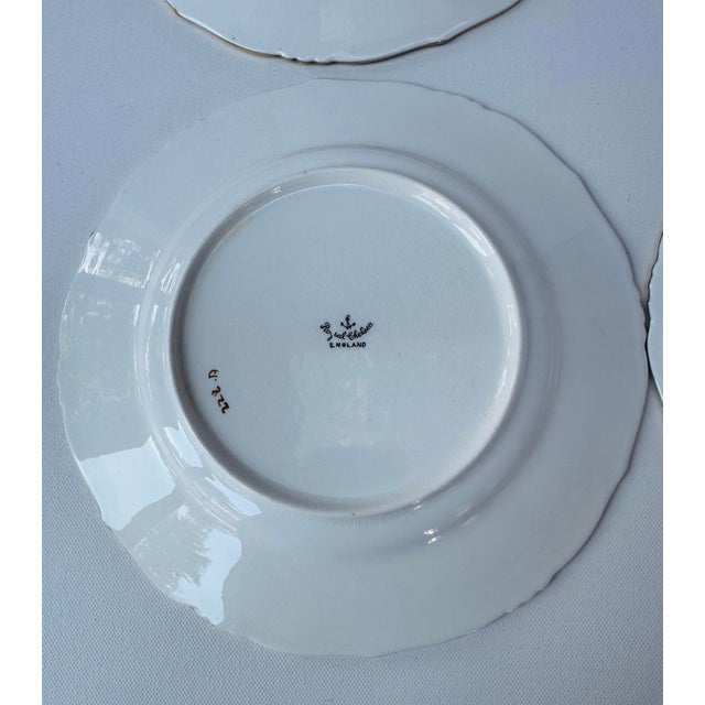 Vintage Royal Chelsea England Gilt Floral Plates - Set of 11 For Sale - Image 12 of 12