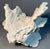 Mid 20th Century 15" White Ridge Coral Farmed Merulina Lettuce Coastal Decor For Sale - Image 5 of 7