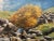 Realism Vintage Oil Painting of the English Lake District by Modern British Landscape Artist, 1986 For Sale - Image 3 of 13