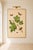 Paper Oak Leaf & Acorn Study With Moths, 1797 Vintage Art Print Reproduction, 40" X 60" For Sale - Image 7 of 11