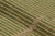 Rug & Kilim’s Contemporary Kilim in Beige and Green Textural Stripes For Sale In New York - Image 6 of 7