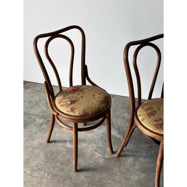 Brown Bentwood Oak Café Chairs W/ Rose Floral Seats, 1933 World's Fair — Set of 7 For Sale - Image 8 of 17