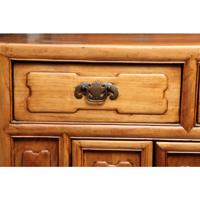 Early 20th Century Antique Chinese Raised Elmwood Panel Sideboard From the Early 20th Century For Sale - Image 5 of 11