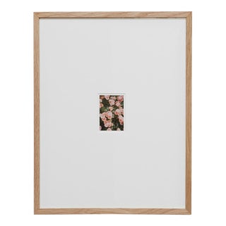 The Rose Garden Nº 21 Print by David Urbano, 2018 For Sale