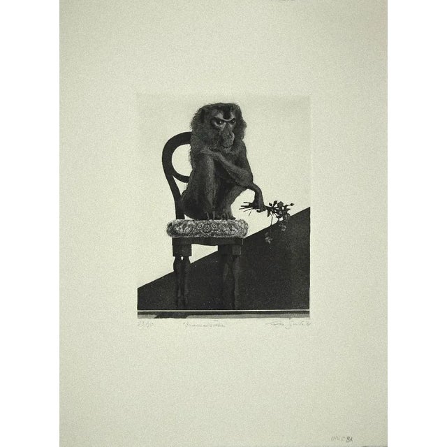 Monkey on the Chair is an original Contemporary artwork realized in 1972 by the italian artist Leo Guida. Original Etching...