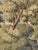 Antique French Jacquard Tapestry with Village Motif in the style of Aubusson, 1970s For Sale - Image 12 of 18