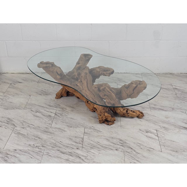 Mid 20th Century Olive Root Driftwood Coffee Table For Sale - Image 11 of 12