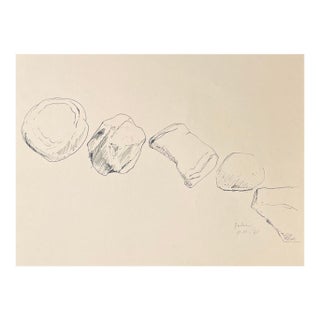 1965 Neil Meitzler Stone Still Life Drawing For Sale