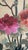 Antique Chinese Silk Embroidery Panel With Peacocks, Peonies, and Bamboo For Sale - Image 12 of 18