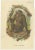 Lloyd, Illustrations of Various Monkey Species, 1894, Set of 8 For Sale - Image 3 of 10