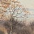 1990s George Griff Griffiths Original Yorkshire Watercolor Painting Swinsty Reservoir For Sale - Image 5 of 12