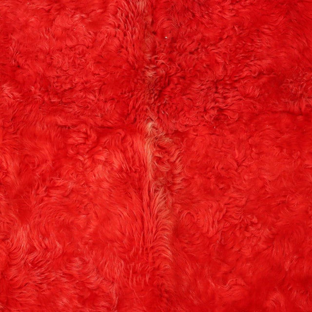 Antique Tulu Rug in Wool For Sale - Image 4 of 8