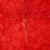 Antique Tulu Rug in Wool For Sale - Image 4 of 8