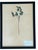 1965 French Herbarium Botanical Specimens – Set of 9 Custom Framed Pressed Botanicals For Sale - Image 6 of 17
