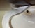 Mid-Century Modern California Pottery Figural Serving Dish by Hedi Schoop Signed & Dated 1961 For Sale - Image 15 of 17