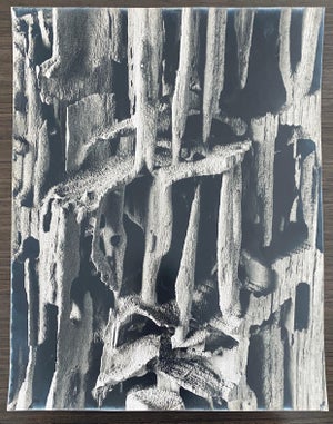 Andreas Feininger, American Photographer Nature Silver Gelatin Vintage Print