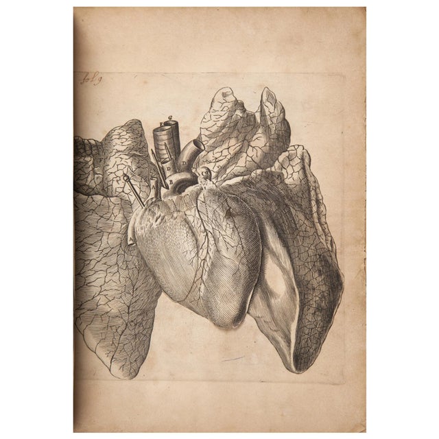 Traditional 17th Century Illustrated Leather Book, Renatus Descartes De Homine Figuris For Sale - Image 3 of 5