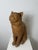 Montelupo Fiorentino Tuscan Artist, Sculpture of a Seated Cat, 19th Century, Terracotta For Sale - Image 10 of 18