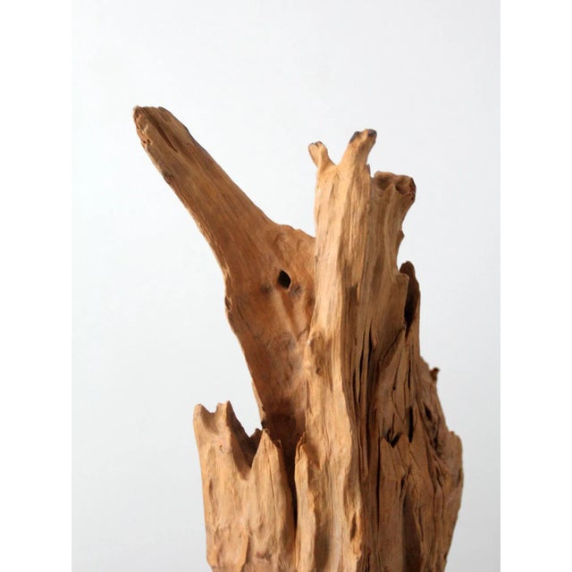 Mid-Century Wood Sculpture on Stand For Sale - Image 11 of 13
