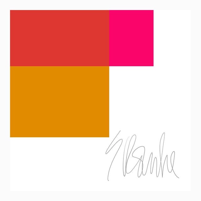 The Interaction of Deep Pink and Gold Fine Art Print 35" X 45" by Liz Roache For Sale In Boston - Image 6 of 6