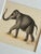 This exquisite miniature painting beautifully captures the essence of an elephant with extraordinary detail and finesse....