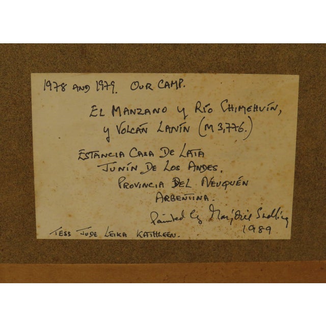 Argentina, Provincia del Neuquen, 1989, Oil on Board, Framed For Sale - Image 11 of 14