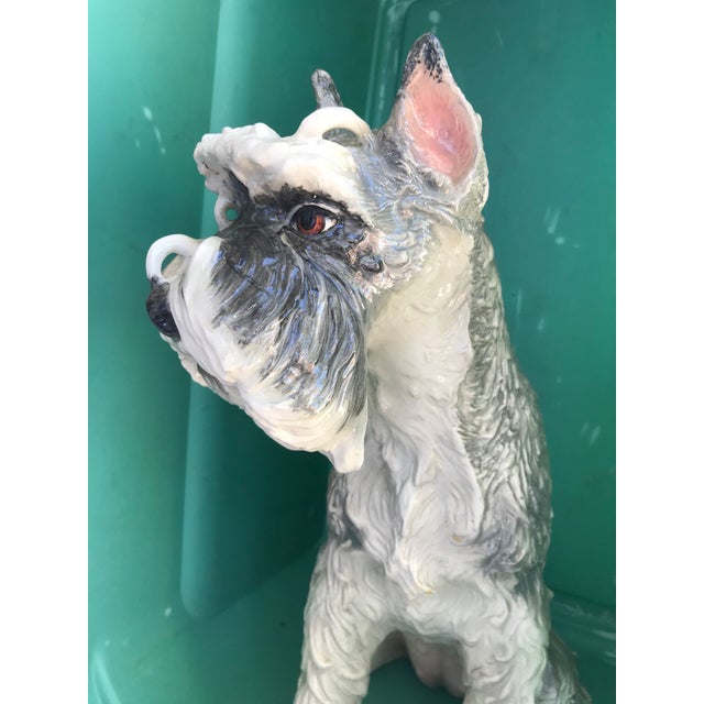 Large Schnauzer Dog Statue Chairish
