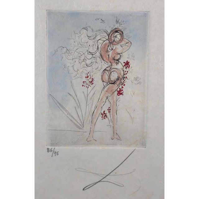 ARTIST: Salvador Dali TITLE: Petite Nus (From Apollinaire) MEDIUM: Etching SIGNED: Hand Signed PUBLISHER: Editions...