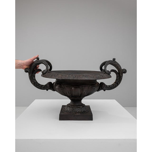 19th Century French Cast Iron Planter For Sale - Image 16 of 18