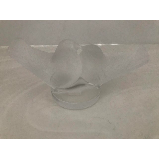 LaLique Society of America 1993 Crystal Love Birds New in Box For Sale - Image 12 of 13