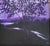Vintage American 20th C Framed Oil Painting Nocturnal Landscape River & Forest For Sale - Image 4 of 16