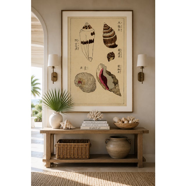 Vintage Japanese Seashells, Woodblock Print Reproduction, 20" X 30" For Sale In Buffalo - Image 6 of 11