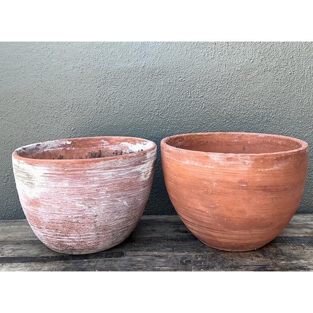 Vintage Washed Terracotta Planter Bowls - Set of 2 For Sale - Image 10 of 12