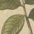 Beige Bertuch, Cashew Apple and Nut with Acacia, 1805, Print For Sale - Image 8 of 12