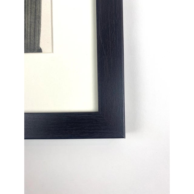 1930s Framed Botanical Blossfeldt Print - No. 68 For Sale - Image 4 of 5