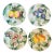 Italian Majolica Plates, Set of 4 For Sale