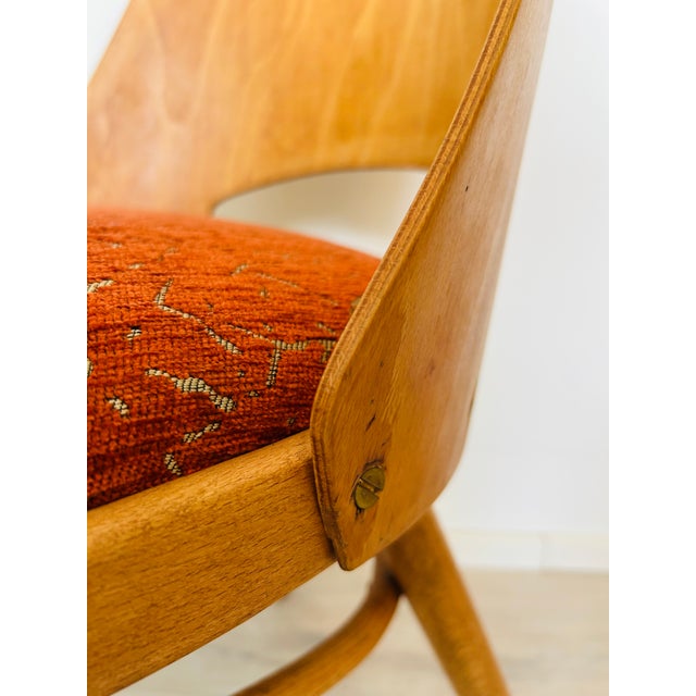 Mid-Century Modern Dining Chair by Radomír Hofman for Ton, 1950s For Sale - Image 9 of 13