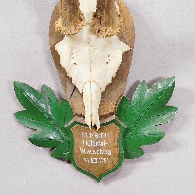 Great Black Forest Red Deer Trophy on Carved Plaque - Germany 1954 For Sale - Image 4 of 6