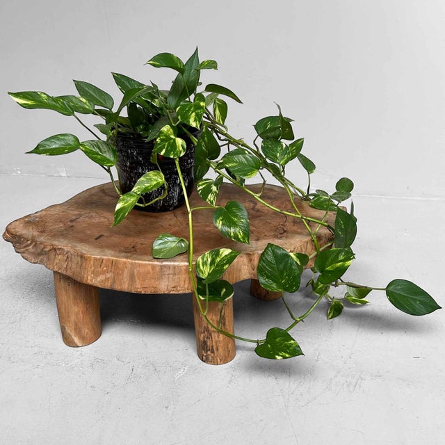 Japanese Log Table, 1950s For Sale - Image 12 of 18