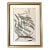 Printmaking Materials Antique Botanical Print Acacia Tree by Phillip Miller London 1755. For Sale - Image 7 of 7