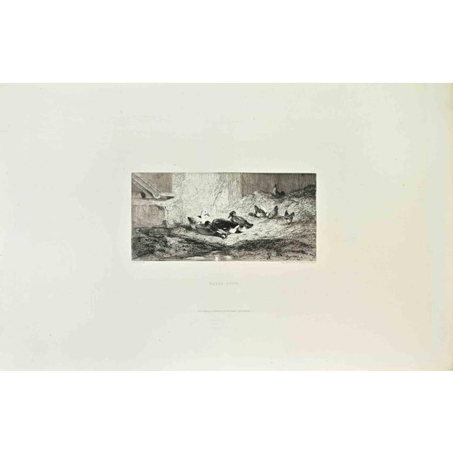 Basse Cour is a black and white etching realized by Eugène Cottin (1840-1902) in 1870s. Titled in the lower. Image size:...