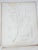Paper Mid 19th Century Us Pacifc Railroad Botanical Lithograph Book Plate - Set of 6 For Sale - Image 7 of 10