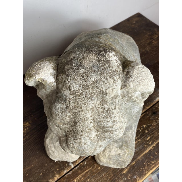 Antique Reclining Lion Sculpture on Base in Carved Stone, 1890s For Sale - Image 12 of 18